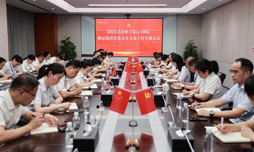 深入红色治理 打造百年3377体育全网丨3377体育全网集团党委及各支部工作专题会议成功召开！