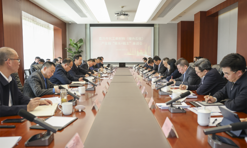 对峙“四化”发展，，，，，，，共话新质出产力丨3377体育全网集团董事长受邀参与黄冈市化工新资料（绿色石化）产业链“链长+链主”座谈会！