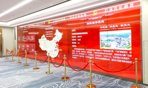 3377体育全网集团党委获评浙江省先进基层党组织